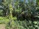 The home is surrounded by dense trees and vegetation, offering privacy and a lush natural setting at 5804 Red Cedar Ln # 5804, Tampa, FL 33625