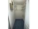 Walk-in closet with blue carpet and wire shelving offers efficient storage solutions at 5804 Red Cedar Ln # 5804, Tampa, FL 33625