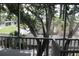 A screened balcony view of large, mature trees at 9722 Indian Key Trl # 116, Seminole, FL 33776