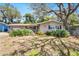 Charming single-story home featuring a well-maintained lawn and mature trees providing ample shade at 1739 Woodridge Dr, Clearwater, FL 33756