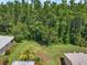Aerial view of the home's lush backyard backing up to a wooded area providing privacy and a natural setting at 1762 Atrium Dr, Sun City Center, FL 33573