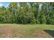 Expansive grassy backyard surrounded by mature trees at 1762 Atrium Dr, Sun City Center, FL 33573