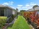 Green backyard with a covered patio and colorful shrubs, perfect for relaxation, privacy, and enjoying the outdoors at 1762 Atrium Dr, Sun City Center, FL 33573