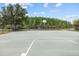 Community basketball court surrounded by tall trees and a black fence at 18516 Snowdonia Dr, Land O Lakes, FL 34638