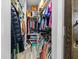 Organized walk-in closet with shelves, racks and storage for all your wardrobe needs at 18516 Snowdonia Dr, Land O Lakes, FL 34638