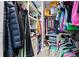 Well-organized walk-in closet with shelves, rods, and storage solutions for clothes and accessories at 18516 Snowdonia Dr, Land O Lakes, FL 34638