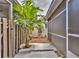 Landscaped backyard featuring a paved path, lush palm tree, and charming garden accents at 1877 Pine Cone Cir, Clearwater, FL 33760