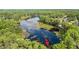 Expansive lake view of the property from above, surrounded by trees at 22004 Dupree Dr, Land O Lakes, FL 34639