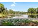 Scenic pond with lily pads, surrounded by lush greenery and trees under a blue sky at 22004 Dupree Dr, Land O Lakes, FL 34639
