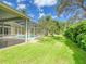 Backyard view featuring screened pool, tropical foliage, and well-manicured lawn at 3910 Saywood Ct, Palm Harbor, FL 34685