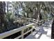 Scenic boardwalk winding through lush vegetation, offering a peaceful nature experience at 3910 Saywood Ct, Palm Harbor, FL 34685