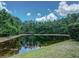 Scenic view of pond surrounded by lush greenery and a clear blue sky at 3910 Saywood Ct, Palm Harbor, FL 34685