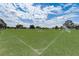 Community soccer field with neatly trimmed lawn with clear boundary lines under a cloudy sky at 4307 Shadberry Dr, Tampa, FL 33624