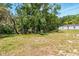 Expansive backyard with lush grass, mature trees, and a tranquil water view offering serenity at 4419 Longshore Dr, Land O Lakes, FL 34639