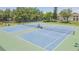 Enjoy playing tennis on the community's well-maintained tennis courts at 4517 La Capri Ct, Tampa, FL 33611