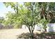 Spacious backyard featuring a flourishing tree that provides shade and visual interest at 5417 Golden Dr, Tampa, FL 33634