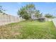 Expansive fenced backyard featuring lush green grass and mature trees offering shade and privacy at 9712 White Barn Way, Riverview, FL 33569