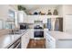 Modern kitchen with stainless steel appliances, white cabinets, and wood-look flooring at 9712 White Barn Way, Riverview, FL 33569