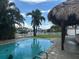 Backyard pool with lush palm trees, tiki hut, and picket fence overlooking a tranquil waterfront at 12055 4Th E St, Treasure Island, FL 33706