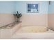 Bathroom featuring a bathtub with jets and a granite countertop at 14169 Fennsbury Dr, Tampa, FL 33624