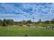 Scenic golf course view featuring lush green fairways, palm trees, and golf carts under a partly cloudy sky at 1516 E Lake Woodlands Pkwy, Oldsmar, FL 34677