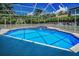 Beautiful pool and spa in a screened enclosure, with tropical landscaping at 1516 E Lake Woodlands Pkwy, Oldsmar, FL 34677