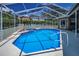 A sparkling pool and hot tub is enclosed in a screened lanai, perfect for relaxation and entertainment at 1516 E Lake Woodlands Pkwy, Oldsmar, FL 34677