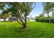Lush green backyard showcasing mature trees, a pool with a screened-in lanai, and a well-manicured lawn at 1562 Coastal Pl, Dunedin, FL 34698