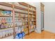 Spacious walk-in pantry with custom shelving offering ample storage space and organization at 17301 Ladera Estates Blvd, Lutz, FL 33548