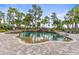 Beautiful pool with mature palm trees and stone waterfall feature at 17301 Ladera Estates Blvd, Lutz, FL 33548