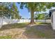 Expansive fenced backyard with a shade tree offering ample privacy and space at 3709 Danny Bryan Blvd, Tampa, FL 33619