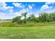 Expansive backyard with lush green grass, trees, and blue skies create a peaceful outdoor setting at 3719 Stormy Thistle Pl, Plant City, FL 33565