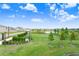 Spacious, fenced dog park within the community, perfect for pet owners at 3719 Stormy Thistle Pl, Plant City, FL 33565