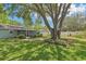 Beautiful backyard featuring a big tree, patio, privacy fence and manicured landscaping at 512 Hillpine Way, Brandon, FL 33510