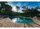 Community pool with crystal-clear water, lounge chairs, and lots of beautiful green palm trees at 5156 Pinnacle Dr, Oldsmar, FL 34677