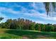 Scenic golf course view, featuring vibrant green grass and a beautiful treeline in the background at 5156 Pinnacle Dr, Oldsmar, FL 34677