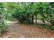 Lush backyard landscape showing mature trees and foliage, adding a natural and serene backdrop to the property at 8039 Garden Dr # 105, Seminole, FL 33777