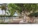 Relaxing outdoor area with dining tables and chairs on a sandy path near the ocean at 805 S Gulfview Blvd # 402B, Clearwater, FL 33767
