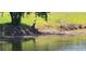 Peaceful pond view featuring a heron standing near the bank, offering serene scenery and wildlife viewing opportunities at 834 Tremont Greens Ln # 137, Sun City Center, FL 33573