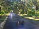 View of the driveway leading to the property, framed by lush trees at 8701 Lake Calm Ln, Odessa, FL 33556