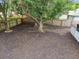 A large tree provides ample shade in this spacious backyard with wood fencing at 105 1St Se Ave, Lutz, FL 33549