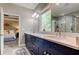 Modern bathroom showcasing double sinks, blue cabinets, and glass shower enclosure at 11606 Quiet Forest Dr, Tampa, FL 33635