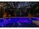 Beautiful, screened-in pool with underwater lights and lush, tropical landscaping creating a private oasis at 11606 Quiet Forest Dr, Tampa, FL 33635