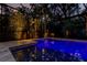 Stunning view of the screened pool with outdoor lighting and landscaping at twilight at 11606 Quiet Forest Dr, Tampa, FL 33635
