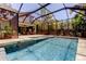 Sparkling screened pool with attached lounge area and covered patio at 11606 Quiet Forest Dr, Tampa, FL 33635