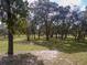 Lush green lawn with mature shade trees, creating a serene and inviting outdoor space at 12271 Centralia Rd, Weeki Wachee, FL 34614