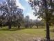 Expansive green lawn adorned with graceful, mature trees, offering an enchanting natural vista at 12271 Centralia Rd, Weeki Wachee, FL 34614