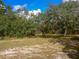 Scenic view of a verdant lawn with scattered trees under a partly cloudy blue sky at 12271 Centralia Rd, Weeki Wachee, FL 34614