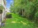 Lush backyard with green grass and dense trees provides a private, natural backdrop to the home at 1624 Lullwater Ln, Lutz, FL 33549