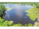 Aerial view of a large lake with lily pads, surrounded by lush greenery and trees at 1624 Lullwater Ln, Lutz, FL 33549